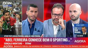 Gonçalo Monteiro e a hipótese de Abel Ferreira suceder a João Pereira: «É possível...»