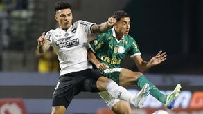 Cai o pano no Brasileirão: «Se me perguntassem no início da época se seria Botafogo e Palmeiras a lutarem...»