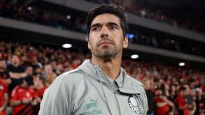 Abel Ferreira sem papas na língua: «Hoje merecíamos que nos chamassem de tudo. Eu se fosse adepto fazia isso»