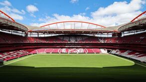 Luz, Dragão e Alvalade vão ter obras: estádios irão preparar-se para o Mundial'2030