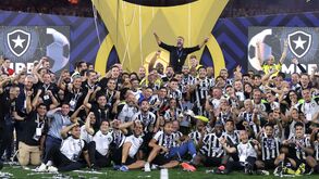 «A equipa voltou a ser respeitada e a jogar como Botafogo»: ano de sonho visto por quem conhece bem o clube