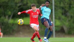 Luís Castro e a evolução de Diogo Prioste: «Tem uma maturidade acima da média»