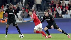 As notas dos jogadores do Benfica frente ao Bolonha: pesadelo da águia chama-se Skorupski
