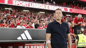 Roger Schmidt fez um desconto ao Benfica no processo de indemnização