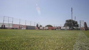 Carlos Silva reforça scouting do Benfica