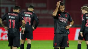 Empate com AVS não retira confiança a Jorge Ribeiro: «Benfica pode perfeitamente ganhar em Alvalade»