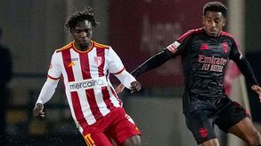 João Alves questiona saída de Leandro Barreiro frente ao AVS SAD: «O Benfica partiu-se em dois»