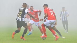 Nacional-Benfica será retomado sexta-feira às 15h00 em caso de nova suspensão devido ao nevoeiro