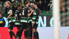 Sporting lidera destacado a tabela do TikTok face a Benfica e FC Porto 