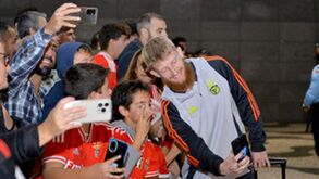 Sorrisos, selfies e autógrafos: as imagens da chegada do Benfica à Madeira