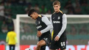 Miguel Alves segue as pisadas de João Simões: central do Sporting também sobe degrau