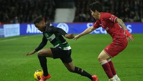 Mais galo para um leão que perdeu alma
