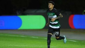 Maxi Araújo lança 