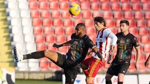 A crónica do AVS SAD-Estrela, 1-1: brilho da estrela iluminou avenses