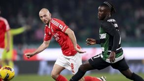 Quenda vai sem travões na histórica autoestrada: bateu mais um recorde e atingiu marca com... 87 anos