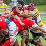 Técnico e Benfica em duelo decisivo