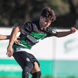 A crónica do Sporting-Farense, 0-0: leões caem do topo