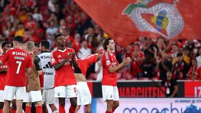 Benfica com assistências recorde na Liga: nunca o Estádio da Luz recebeu tanta gente