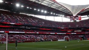 «Temos de começar a pensar num novo estádio»: 'vice' do Benfica sonha com um recinto de 120 mil lugares