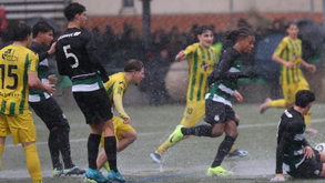A crónica do Tondela-Sporting, 2-0: leão afogado