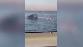Dois desaparecidos e dois feridos graves numa colisão entre ferry e barco de pesca no rio Tejo