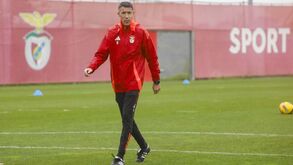 Foco na finalização: Benfica afina assim estratégia para jogo com o Sp. Braga