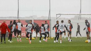 As imagens do último treino do Benfica antes do jogo com o Sp. Braga