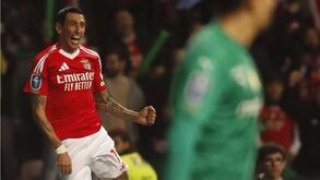 As notas dos jogadores do Benfica frente ao Sp. Braga: com um toque Di Midas fica tudo mais fácil