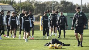 Rumo à final: Sporting treina com quatro baixas, Rui Borges fala depois de almoço e viagem é ao fim da tarde