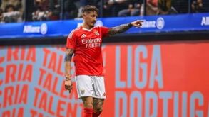 Fejsa: «Entrem e mostrem como luta um campeão»