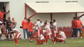 Tudo a fugir: ataque de abelhas interrompe jogo de futebol no Brasil