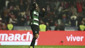 Desgaste recorde entre os grandes: principais jogadores do Sporting mais espremidos do que os de Benfica e FC Porto