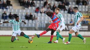 Adepto do Rio Ave cai da bancada durante festejos e vai para o hospital