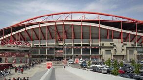 Eleições já mexem na Luz: conheça os nomes que se preparam nos bastidores