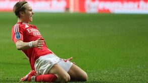 Andreas Schjelderup atrai atenções mas é preciso abrir cordões à bolsa para o tirar do Benfica
