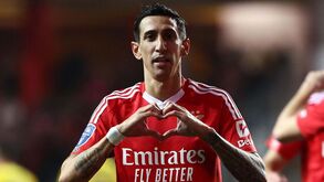 Di María é para renovar: plano do jogador e do clube da Luz é comum