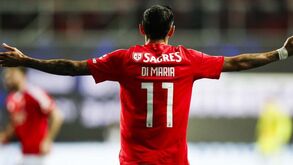 Di María quer continuar no Benfica: «Com 36 anos, joga de cadeira em Portugal»