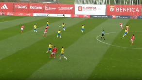 Liga BPI: os melhores momentos do Benfica-Estoril, 6-1