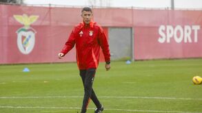 Alerta amarelo no Benfica: há quatro jogadores em perigo de exclusão