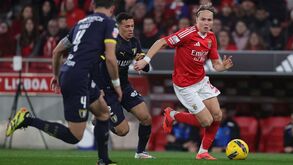 Selecionador da Noruega diz que Schjelderup pensou sair do Benfica