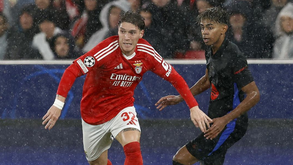 Rollheiser alvo de cobiça no Brasil