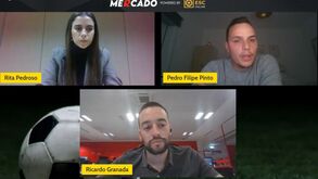 Mercado Record by Esc Online: treinador do FC Porto a caminho e dossiê congelado no Benfica