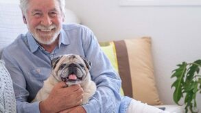 Vive sozinho? Então estas são as 5 raças de cães ideais para si!