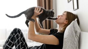 Está a pensar adotar um gato? Os 7 passos essenciais para preparar a sua casa