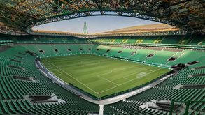 Adeptos do Sporting no setor A14 destroem cabos das novas câmaras de segurança