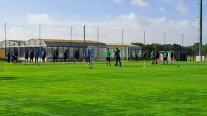 Gyökeres ausente de um treino com mais quatro baixas e um 'reforço': confira os destaques de Alcochete