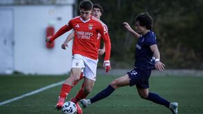As imagens da chegada da comitiva do Benfica ao aeroporto Humberto Delgado antes da partida para Turim