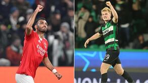 Os possíveis adversários de Benfica e Sporting no playoff da Liga dos Campeões e os emparelhamentos para os 'oitavos'