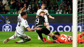 As notas dos jogadores do Sporting frente ao Bolonha: super-Harder sacou o golo da sua cabine