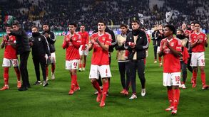 Comitiva do Benfica regressa esta manhã a Lisboa e à tarde inicia preparação para o jogo com o Estrela